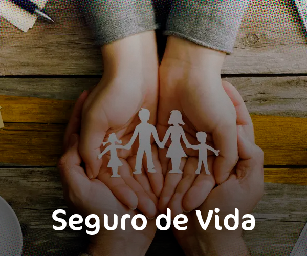 Grupo Mirella Seguros