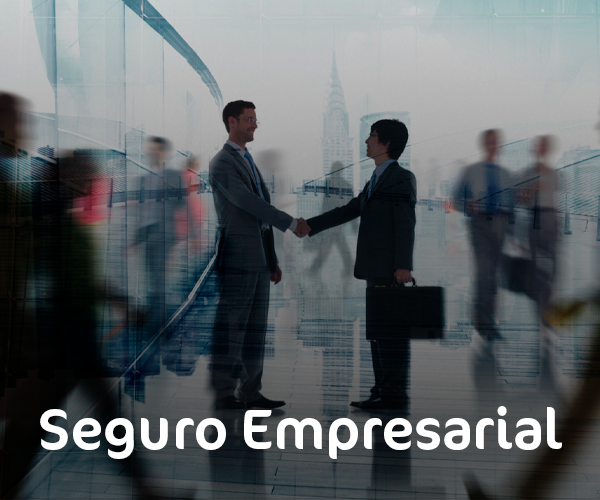 Grupo Mirella Seguros