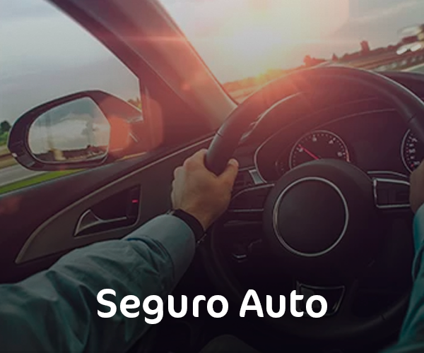 Grupo Mirella Seguros
