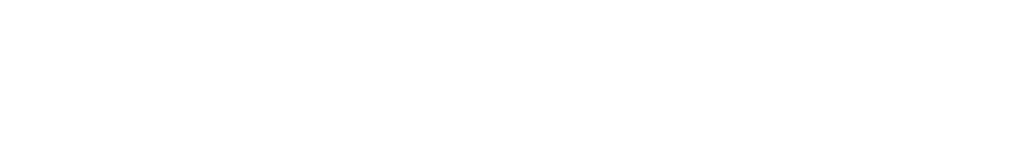 seguros